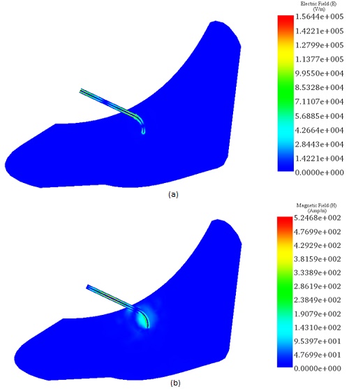 (a-Electric and (b-Magnetic field distribution at 2.45GHz