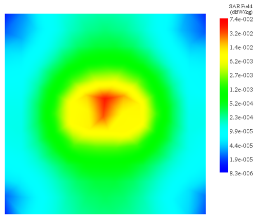 SAR (402 MHz, Input Power 5mW)