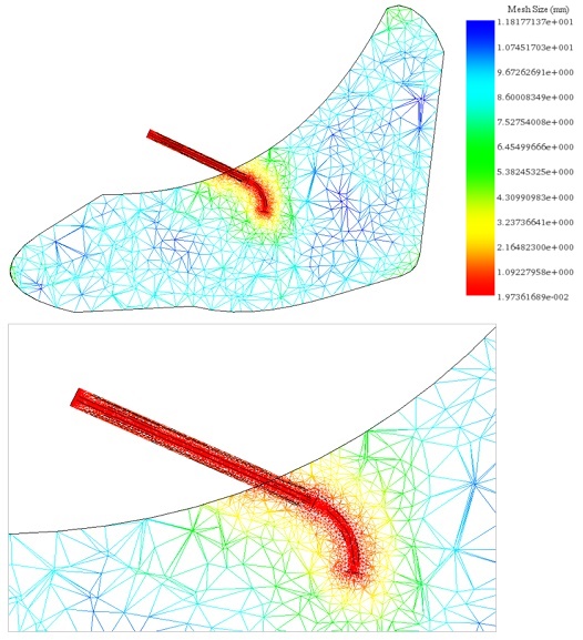 The meshed model